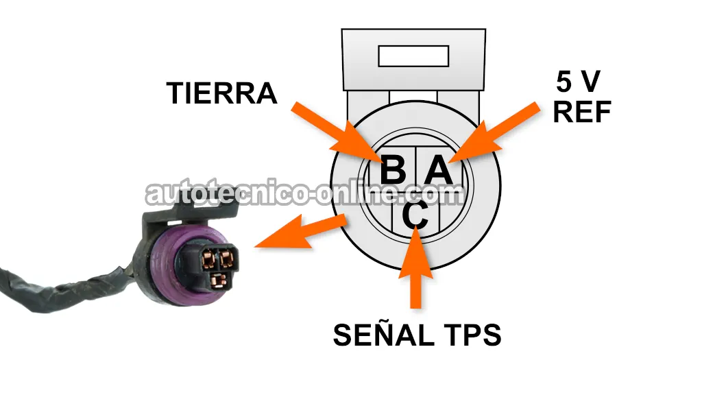 Descripción De Los Circuitos Del Sensor TPS. Cómo Probar El Sensor TPS Con Un Multímetro (1997, 1998, 1999, 2000, 2001, 2002, 2003, 2004, 2005 3.1L V6 Buick Century)