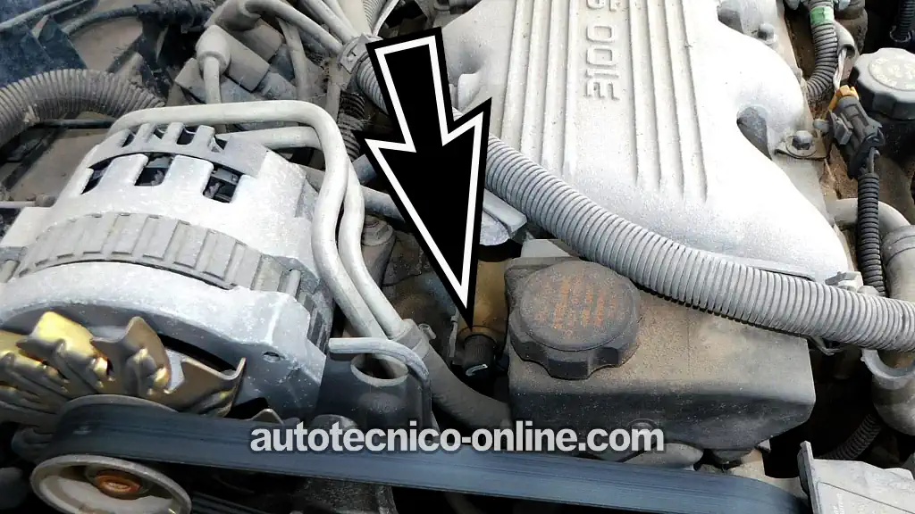 Ubicación De La Válvula Schrader → 1994-2005 3.1L V6 Buick Century