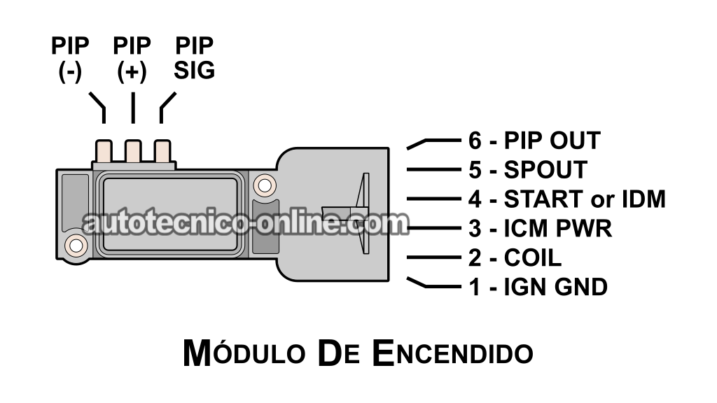 Basic Operating Theory Of The PIP Sensor. Cómo Probar El Sensor PIP (1990, 1991, 1992, 1993, 1994, 1995 3.0L V6 Ford Taurus, Mercury Sable)