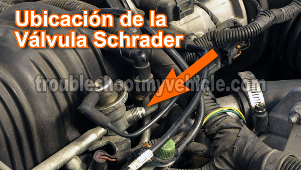 Cómo Probar La Bomba De Gasolina Paso A Paso (GM 3.8L) Cómo Probar La Bomba De Gasolina Paso A Paso (GM 3.8L)