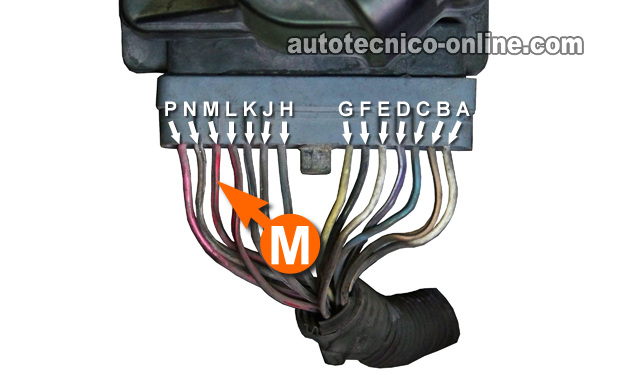 Cómo Probar El Sensor De La Posición Del Árbol De Levas (GM 3.8L) Cómo Probar El Sensor De La Posición Del Árbol De Levas (GM 3.8L)