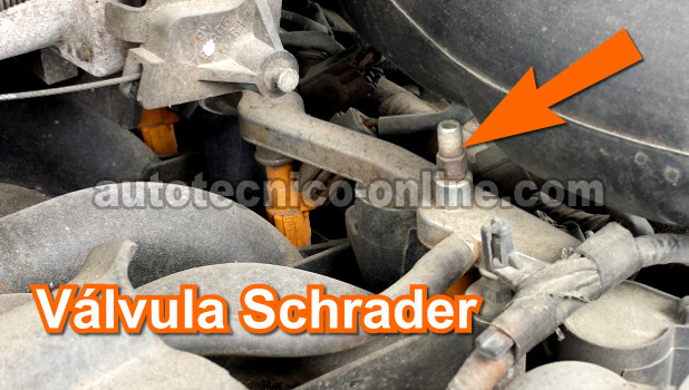 Ubicación De La Válvula Schrader. Cómo Probar La Bomba De Combustible (Ford 4.6L, 5.4L) Ubicación De La Válvula Schrader. Cómo Probar La Bomba De Combustible (Ford 4.6L, 5.4L)