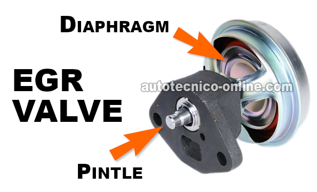 Cómo Probar La Válvula EGR (1988-1995 4.3L TBI Chevrolet S10 Pickup, GMC S15 Pickup, GMC Sonoma)