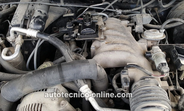 Cómo Probar La Bomba De Combustible (1991-1994 3.0L V6 Ford Ranger)