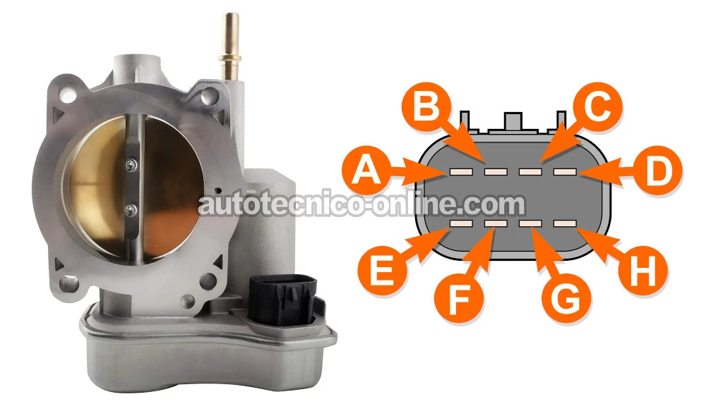 Cómo Probar El Cuerpo Del Acelerador Electrónico (2004-2006 2.8L Chevrolet Colorado, GMC Canyon)