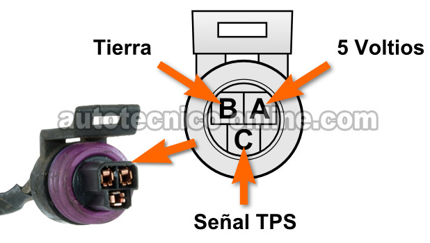 Verificando La Señal TPS Con Un Multímetro. Cómo Probar El Sensor TPS Con Multímetro (1991, 1992, 1993 2.8L Chevy S10 Pickup) Verificando La Señal TPS Con Un Multímetro. Cómo Probar El Sensor TPS Con Multímetro (1991, 1992, 1993 2.8L Chevy S10 Pickup)