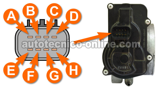 Descripción De Los Circuitos Del Cuerpo Del Acelerador Electrónico Descripción De Los Circuitos Del Cuerpo Del Acelerador Electrónico