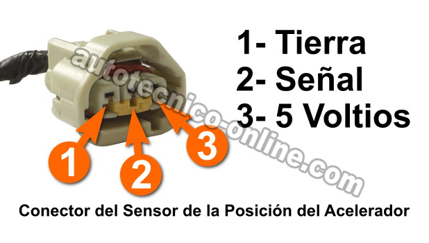 Verificando Alimentación De 5 Voltios y Tierra. Cómo Probar El Sensor TPS (1997-2001 4.0L Grand Cherokee). Verificando Códigos: P0121, P0122, P0123 Verificando Alimentación De 5 Voltios y Tierra. Cómo Probar El Sensor TPS (1997-2001 4.0L Grand Cherokee). Verificando Códigos: P0121, P0122, P0123