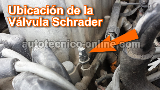 Usando Un Medidor De Presión De Combustible Para Probar La Bomba De Gasolina (Ford 4.9L, 5.0L, 5.8L) Usando Un Medidor De Presión De Combustible Para Probar La Bomba De Gasolina (Ford 4.9L, 5.0L, 5.8L)