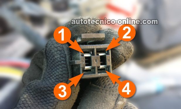 Vista Frontal del Conector del Interruptor Del Motor Soplador. Cómo Probar el Interruptor Del Motor Soplador (4.0L Ford Explorer y 4.0L Ford Ranger) Vista Frontal del Conector del Interruptor Del Motor Soplador. Cómo Probar el Interruptor Del Motor Soplador (4.0L Ford Explorer y 4.0L Ford Ranger)
