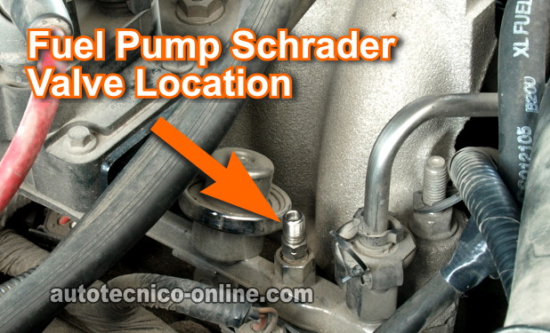 Ubicación De La Válvula Schrader Valve. Cómo Probar La Bomba De Combustible (3.0L Ford Ranger) Ubicación De La Válvula Schrader Valve. Cómo Probar La Bomba De Combustible (3.0L Ford Ranger)
