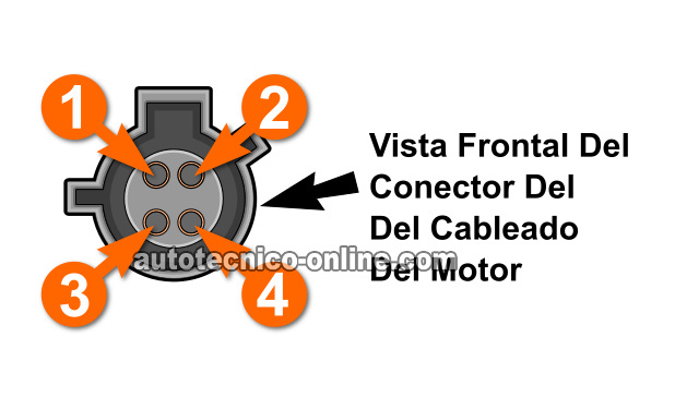 Verificando Alimentación De 12 Voltios Y Tierra. Cómo Probar El Calentador Del Sensor De Oxígeno Delantero P0135 (1995-1997 2.3L) Verificando Alimentación De 12 Voltios Y Tierra. Cómo Probar El Calentador Del Sensor De Oxígeno Delantero P0135 (1995-1997 2.3L)
