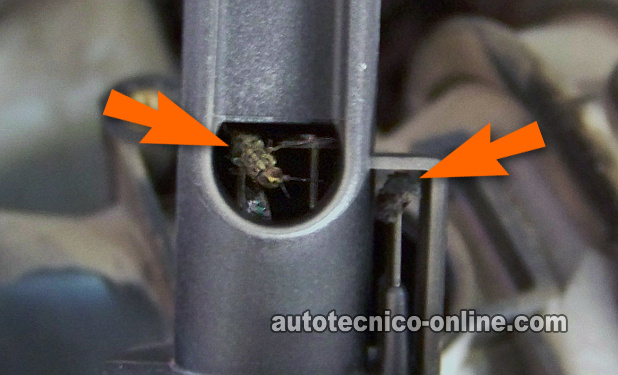 Sensor MAF Sucio Sensor MAF Sucio