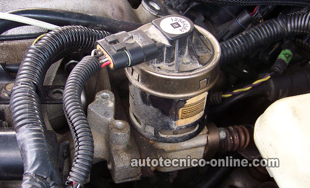 Cómo Probar La Válvula EGR Electrónica (3.1L, 3.4L GM)