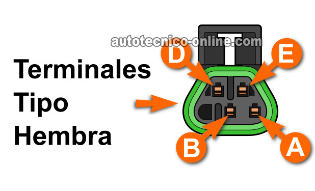 Cómo Probar El Código P0135 (3.5L GM) Cómo Probar El Código P0135 (3.5L GM)
