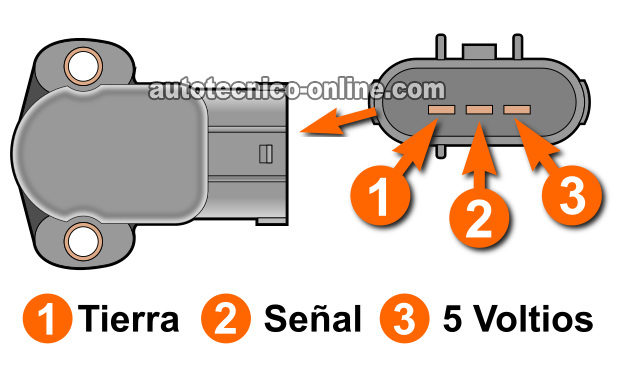 Descripciones De Los Circuitos Del Sensor TPS. Cómo Probar El Sensor TPS (1995-2000 4.0L Ford Explorer)