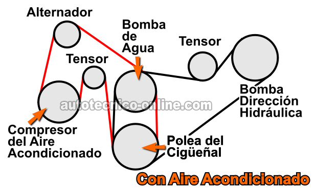 Diagrama De La Banda Serpentina Del Motor Con Aire Acondicionado 1991 3.0L Ford Ranger