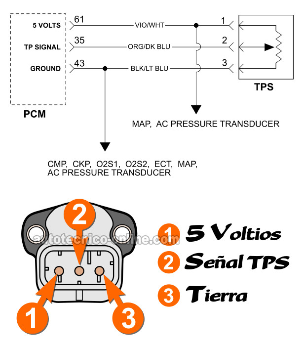 Cómo Probar El Sensor TPS (1996-1997 3.0L Chrysler) Cómo Probar El Sensor TPS (1996-1997 3.0L Chrysler)