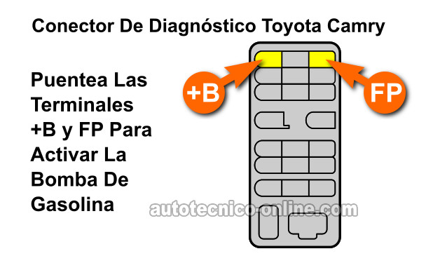 Terminales +B y FP Del Conector De Diagnóstico. Cómo Probar La Bomba De Gasolina (2.2L Toyota Camry) Terminales +B y FP Del Conector De Diagnóstico. Cómo Probar La Bomba De Gasolina (2.2L Toyota Camry)