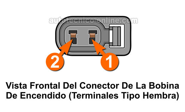 Front View Of The Ignition Coil Harness Connector. Cómo Probar El Módulo De Encendido (1995-1996 1.5L Toyota Tercel) Front View Of The Ignition Coil Harness Connector. Cómo Probar El Módulo De Encendido (1995-1996 1.5L Toyota Tercel)
