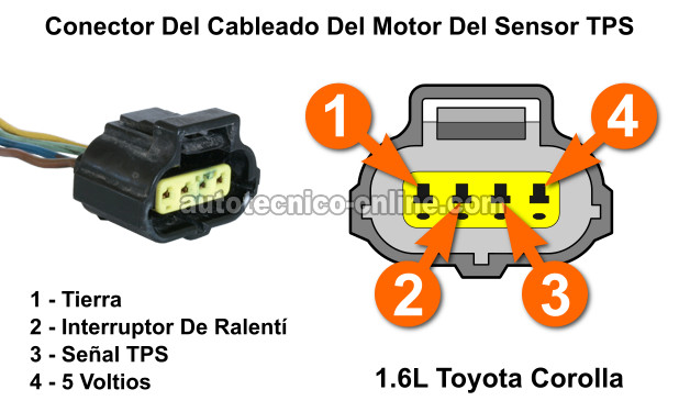 Cómo Probar El Sensor TPS (1.6L Toyota Corolla) Cómo Probar El Sensor TPS (1.6L Toyota Corolla)