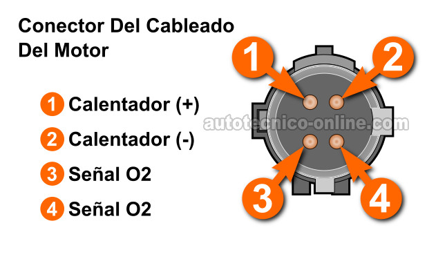 Verificando Alimentación De 12 Voltios Y Tierra. Cómo Probar El Código P0141 (1996, 1997 2.5L Dodge Dakota) Verificando Alimentación De 12 Voltios Y Tierra. Cómo Probar El Código P0141 (1996, 1997 2.5L Dodge Dakota)