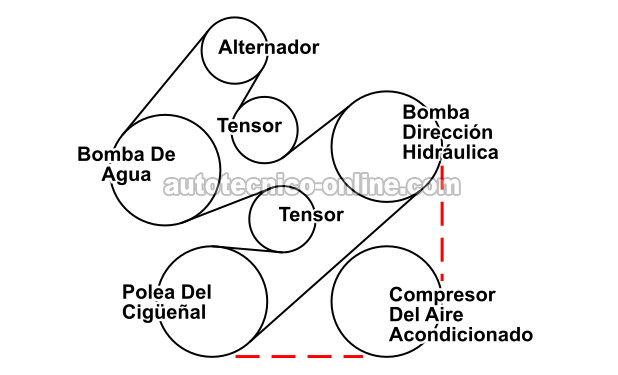 Diagrama De La Banda Serpentina Del Motor OHV (VIN 1, 2, y U) (1996-1999 3.0L OHV Ford Taurus Y Mercury Sable) Diagrama De La Banda Serpentina Del Motor OHV (VIN 1, 2, y U) (1996-1999 3.0L OHV Ford Taurus Y Mercury Sable)