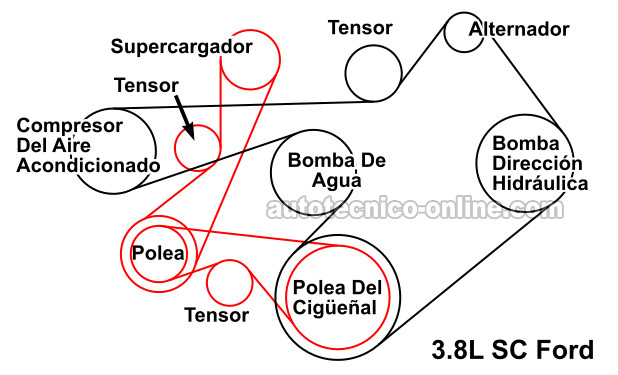 Diagrama De La Banda Serpentina Del Motor Con Supercargador (SC) 1994-1995 3.8L Ford Thunderbird y Mercury Cougar Diagrama De La Banda Serpentina Del Motor Con Supercargador (SC) 1994-1995 3.8L Ford Thunderbird y Mercury Cougar