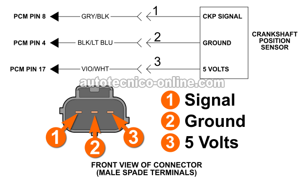 Los Circuitos Del Sensor De La Posición Del Cigüeñal. Cómo Probar El Sensor De La Posición Del Cigüeñal (1997, 1998, 1999 Dodge Dakota Y Durango) Los Circuitos Del Sensor De La Posición Del Cigüeñal. Cómo Probar El Sensor De La Posición Del Cigüeñal (1997, 1998, 1999 Dodge Dakota Y Durango)