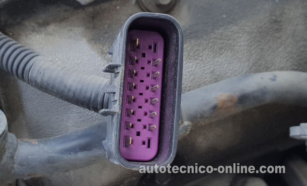 Front View Of Fuel Injector Harness Connector. Cómo Probar Los Inyectores De Combustible En El 2004, 2005, Y 2006 3.5L Chevy Malibu.