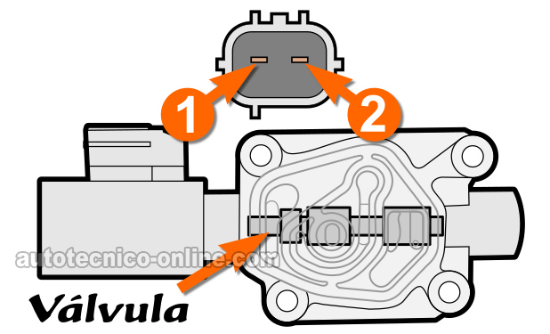Aplicándole 12 Voltios Y Tierra Al Solenoide. Cómo Probar El Solenoide Del Control De Presión De Embrague (1997, 1998, 1999, 2000, 2001 2.0L Honda CR-V)