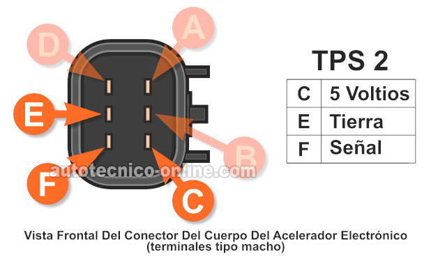 Lo Esencial Del Cuerpo Del Acelerador Electrónico (2007-2009 3.5L Chevy Malibu y Pontiac G6)