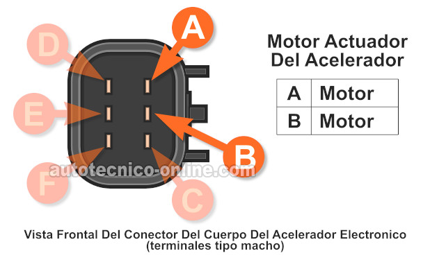 Lo Esencial Del Cuerpo Del Acelerador Electrónico (2007-2009 3.5L Chevy Malibu y Pontiac G6)