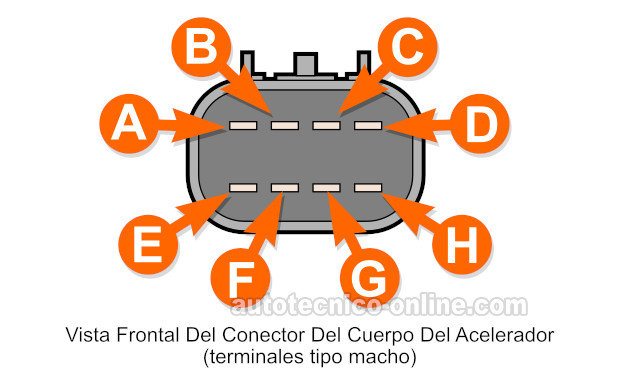 Identificando Las Terminales Del Cuerpo Del Acelerador Electrónico. Cómo Probar El Cuerpo Del Acelerador Electrónico (2002, 2003, 2004, 2005, 2006, 2007 4.2L Chevrolet TrailBlazer O 4.2L GMC Envoy) Identificando Las Terminales Del Cuerpo Del Acelerador Electrónico. Cómo Probar El Cuerpo Del Acelerador Electrónico (2002, 2003, 2004, 2005, 2006, 2007 4.2L Chevrolet TrailBlazer O 4.2L GMC Envoy)