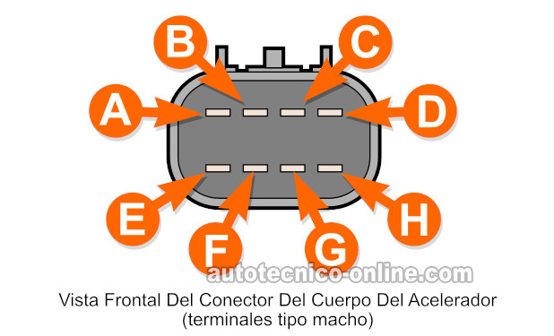 Identificando Las Terminales Del Cuerpo Del Acelerador Electrónico. Cómo Probar El Cuerpo Del Acelerador Electrónico (2005-2006 2.2L Chevrolet Cobalt) Identificando Las Terminales Del Cuerpo Del Acelerador Electrónico. Cómo Probar El Cuerpo Del Acelerador Electrónico (2005-2006 2.2L Chevrolet Cobalt)