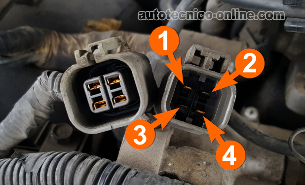 Conector De 4 Cables Del Distribuidor (1990, 1991, 1992, 1993, 1994, 1995 3.OL V6 Nissan Pick Up y Pathfinder).