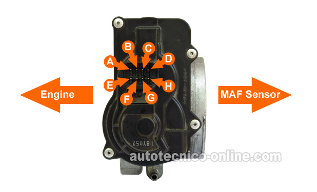 Especificaciones De Resistencia Del Cuerpo Del Acelerador Electrónico