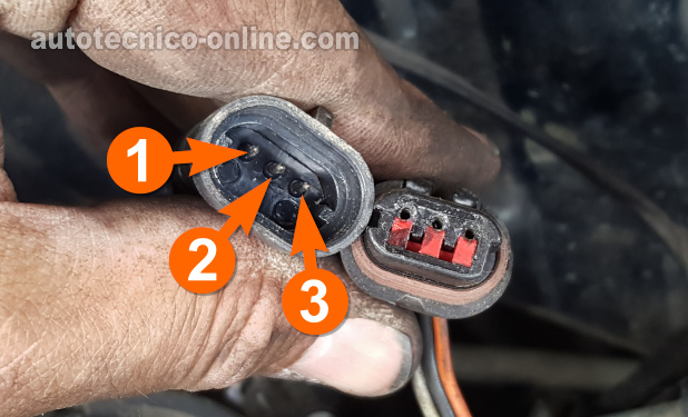 Conector Del Sensor De La Posición Del Cigüeñal Con Terminales Tipo Macho. Cómo Probar El Sensor De La Posición Del Cigüeñal (1994, 1995, 1996 3.9L V6 Dodge Dakota).