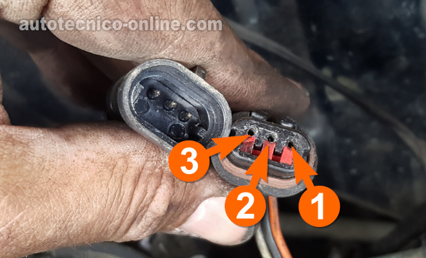 Conector Del Sensor De La Posición Del Cigüeñal Con Terminales Tipo Hembra. Cómo Probar El Sensor De La Posición Del Cigüeñal (1994, 1995, 1996 3.9L V6 Dodge Dakota).