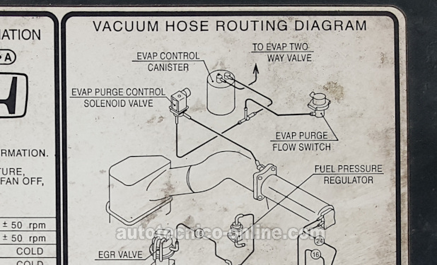 Como Encontrar Fugas De Vacío (1995-1997 2.2L Honda Accord, Odyssey)