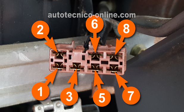 Verificando Que La Terminal N.° 1 Esté Recibiendo 12 Voltios. Cómo Probar El PGM-FI Main Relay (1996, 1997, 1998 1.6L Honda Civic y Honda Civic Del Sol) Verificando Que La Terminal N.° 1 Esté Recibiendo 12 Voltios. Cómo Probar El PGM-FI Main Relay (1996, 1997, 1998 1.6L Honda Civic y Honda Civic Del Sol)