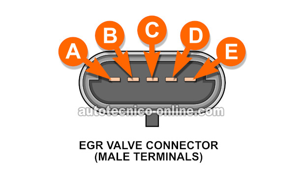Circuitos Del Conector De La Válvula EGR. Cómo Probar La Válvula EGR (1996 2.2L Buick Century y Oldsmobile Cutlass Ciera)