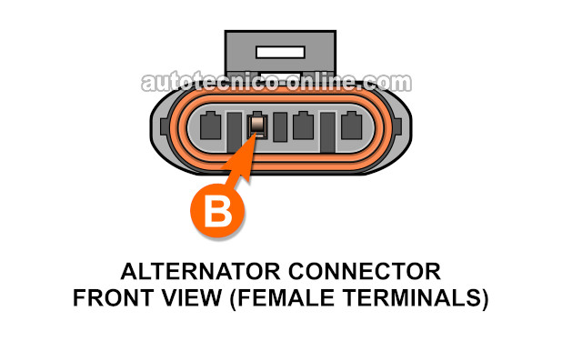 Descripciones De Los Circuitos Del Conector Del Alternador. Cómo Probar El Alternador (1996, 1997 4.3L V6 Chevrolet S10 Pickup And GMC Sonoma) Descripciones De Los Circuitos Del Conector Del Alternador. Cómo Probar El Alternador (1996, 1997 4.3L V6 Chevrolet S10 Pickup y GMC Sonoma)